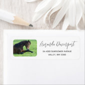Étiquette Joli Cheval Brown allongé dans l'herbe (En situation)