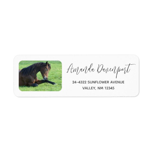 Étiquette Joli Cheval Brown allongé dans l'herbe (Devant)