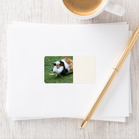 Étiquette joli cobaye iv (En situation)