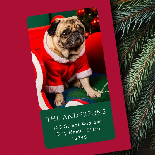 Étiquette Joli Noël Chien Peppy Animaux de compagnie Photo L