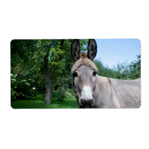 Étiquette Joli portrait d'âne