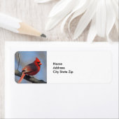 Étiquette Jolie faune cardinale rouge (En situation)