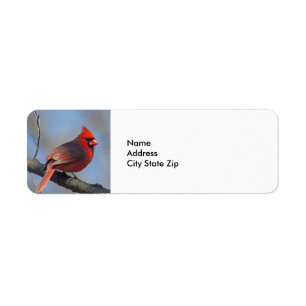 Étiquette Jolie faune cardinale rouge