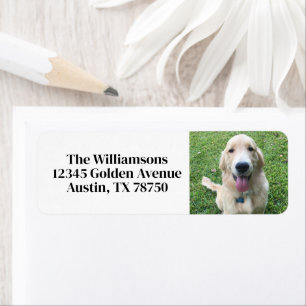 Étiquette Jolie photo de chien personnalisée Adresse de reto
