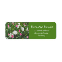 Jolies fleurs de jardin de printemps roses et blan