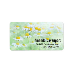 Étiquette Jolies marguerites dans une photo de terrain