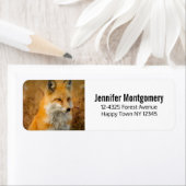 Étiquette Jote Red Fox Wilderness Nature Photographie (En situation)