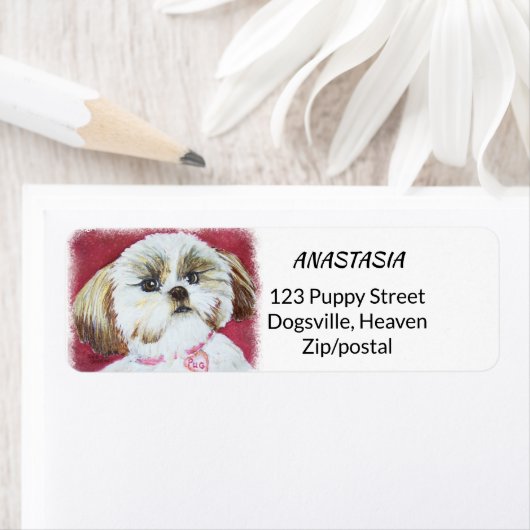 ÉTIQUETTE JOUET SHIH TZU MIX (En situation)