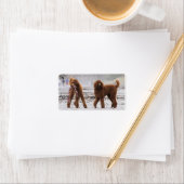 Étiquette Jour des canicules 2010 #10 (En situation)