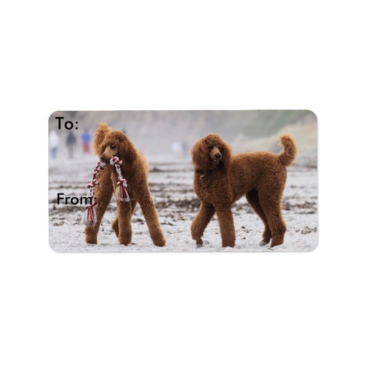 Étiquette Jour des canicules 2010 #10 (Devant)