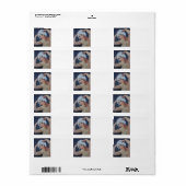 Étiquette Jour du shampooing (Feuille entière)