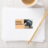 Étiquette Joyeux Black Cocker Spaniel (En situation)