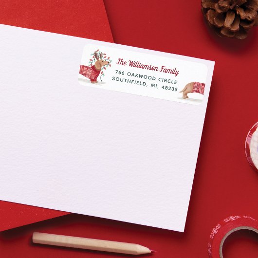 Étiquette Joyeux et lumineux | Chandail de Noël Dachshund Do