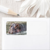 Étiquette Joyeux Hippo (En situation)