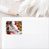 Étiquette Joyeux Noël Kitten (En situation)