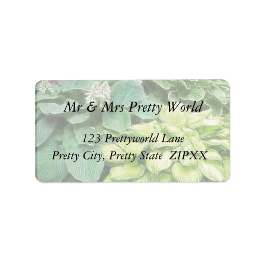 Étiquette Juste Un Hosta De Plus ! (Devant)