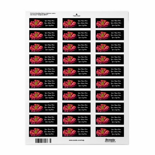 Étiquette Katydid sur Zinnia (Feuille entière)