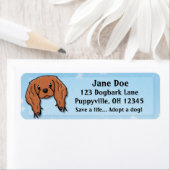 Étiquette Kawaii Ruby Cavalier King Charles Spaniel (En situation)