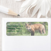 Étiquette Kit Red Fox (En situation)