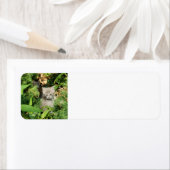 Étiquette Kitten (En situation)