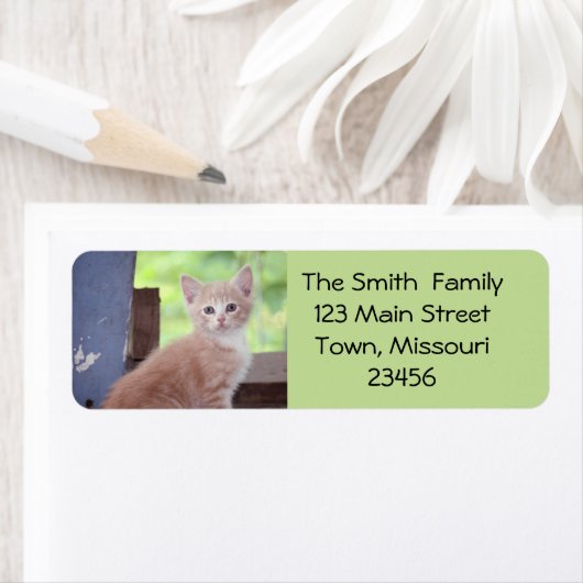 Étiquette Kitten (En situation)