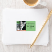 Étiquette Kitten (En situation)