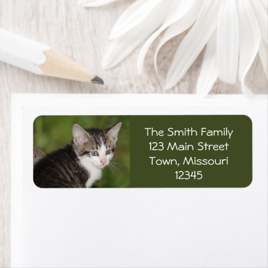 Étiquette Kitten (En situation)