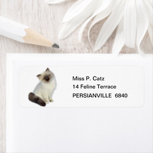 Étiquette Kitten perse (En situation)