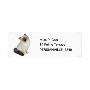 Étiquette Kitten perse