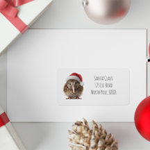 Kiwi à Noël mignon avec chapeau de Père Noël rouge