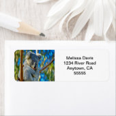 Étiquette Koala Love Address Labels (En situation)