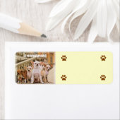 Étiquette La bande de Chihuahua (En situation)