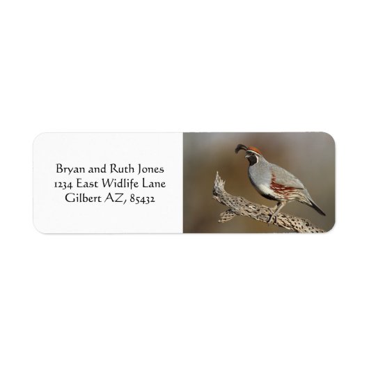 Étiquette La caille de Gambel (Devant)