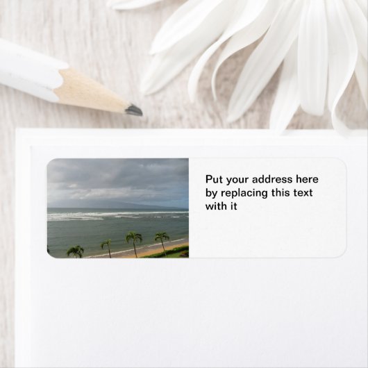 Étiquette La plage de Maui (En situation)