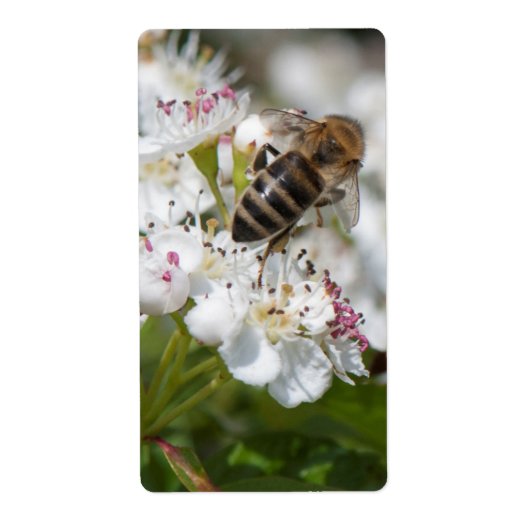 Étiquette L'abeille collecte le pollen (Devant)