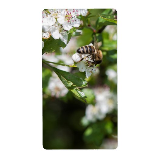 Étiquette L'abeille collecte le pollen (Devant)