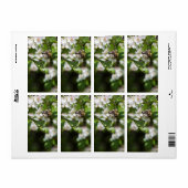 Étiquette L'abeille collecte le pollen (Feuille entière)