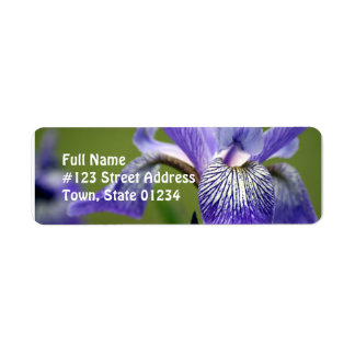 Étiquette Label d'adresse de retour de fleur iris de Sibérie