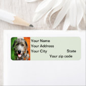 Étiquette Label d'adresse de retour Wolfhound irlandais (En situation)