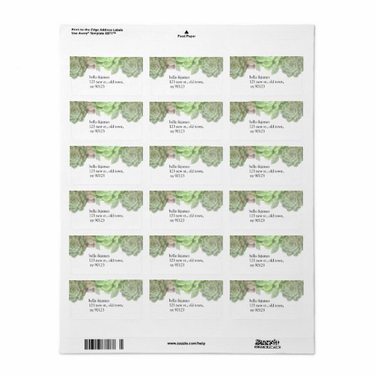 Étiquette Labels de Succulent Wedding Address (Feuille entière)