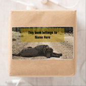 Étiquette Laboratoire De Chocolat Sur Un Chemin De Forêt (En situation)