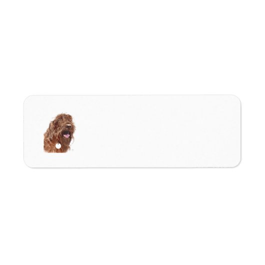 Étiquette Labradoodle au chocolat (Devant)