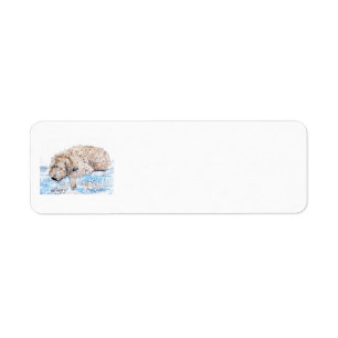 Étiquette Labradoodle faisant une sieste