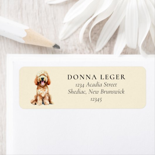 Étiquette Labradoodle Goldendoodle Adresse du chien (En situation)