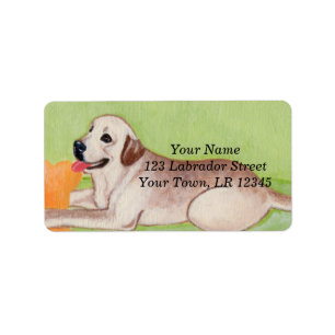 Étiquette Labrador jaune sur le canapé vert