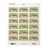 Étiquette Labrador jaune sur le canapé vert (Feuille entière)