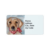 Étiquette Labrador Retriever (Devant)