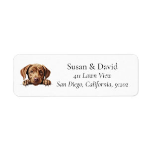 Étiquette Labrador Retriever Chien race Amateurs d'animaux d