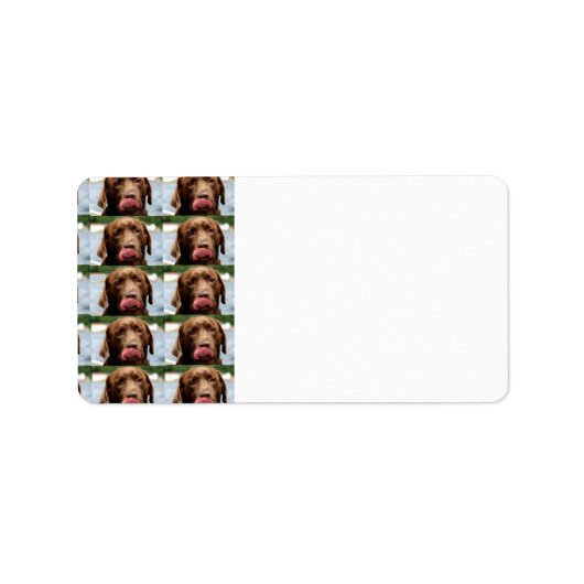 Étiquette Labrador Retriever Chocolate Tiles BG (Devant)