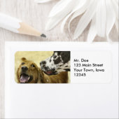 Étiquette Lâches d'adresse de retour de commérage (En situation)